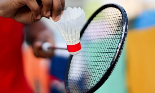 badminton, racket, shuttlecock